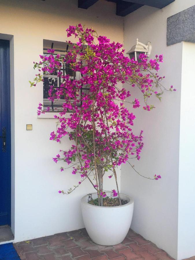 Bed and Breakfast Haritza Anglet Esterno foto
